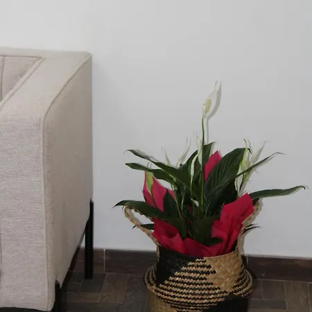 Апартаменты Eterea Катания