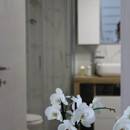 Eterea Катания